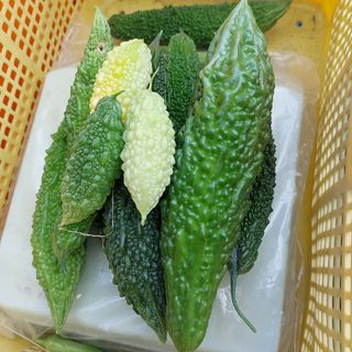 ゴーヤ無農薬野菜１kgと無農薬青みかん３kg(フルーツ)