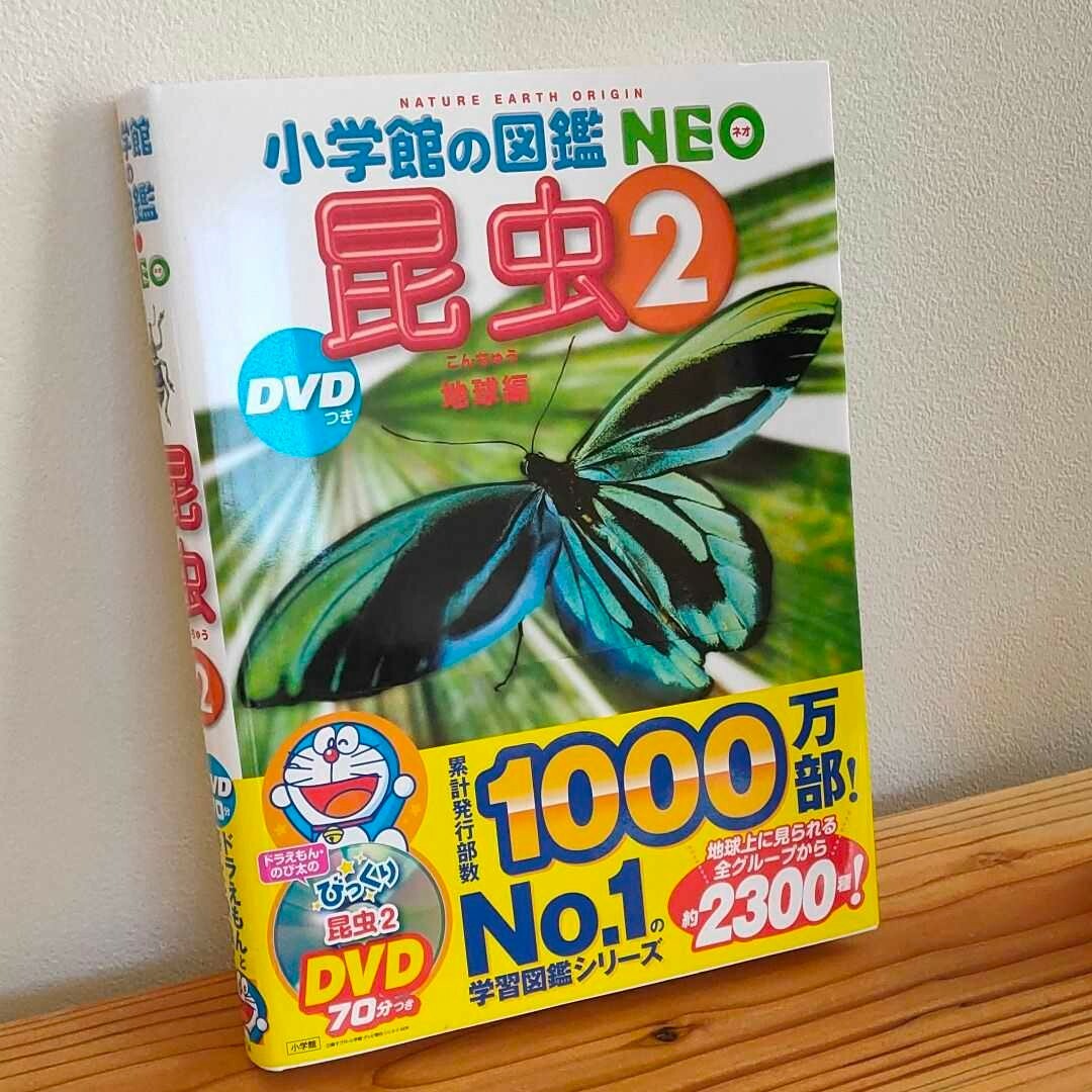 小学館(ショウガクカン)の小学館の図鑑 NEO 昆虫2 DVDなし エンタメ/ホビーのDVD/ブルーレイ(キッズ/ファミリー)の商品写真