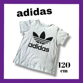 アディダス(adidas)の✨美品✨ adidas アディダス 半袖 Tシャツ 子供服 キッズ 120㎝(Tシャツ/カットソー)