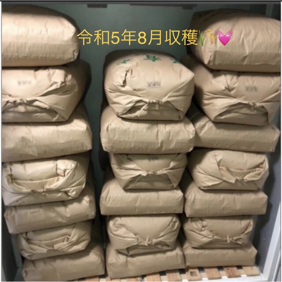 残り30袋❣️無農薬新米✨令和5年8月収穫✨高知産✨玄米30kg　米/穀物