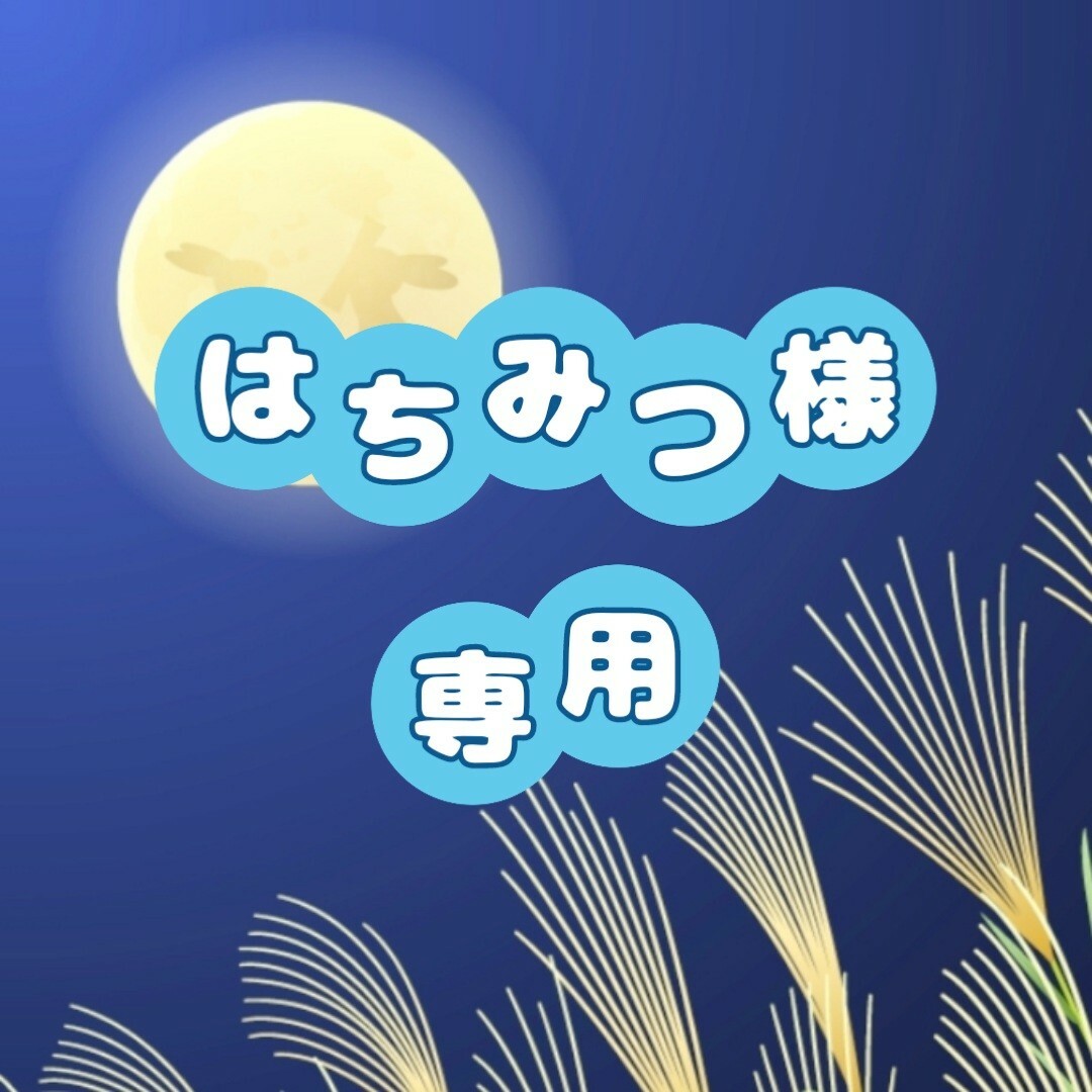はちみつ様専用 | フリマアプリ ラクマ