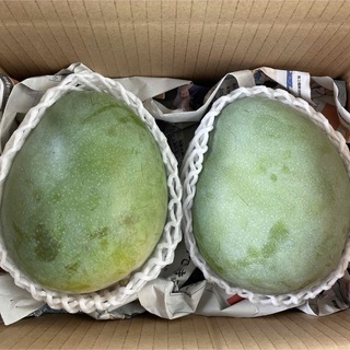 ☆希少☆ 沖縄県産 キーツマンゴー 2個2kg (フルーツ)