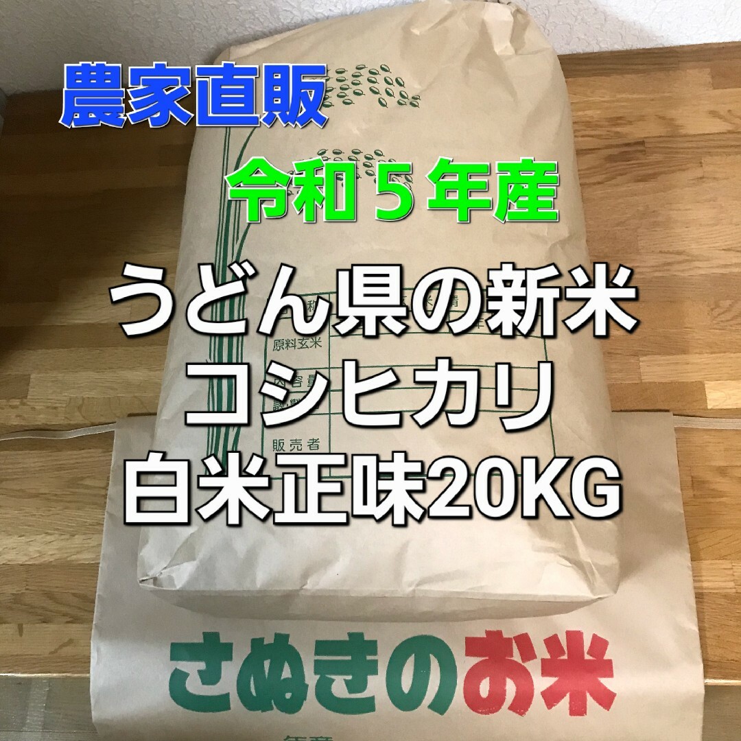 米/穀物令和5年  香川県産 コシヒカリ  白米20キロ