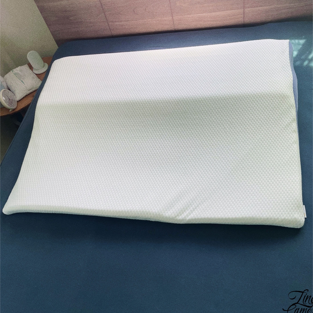 トゥルースリーパー枕  シングル ➕カバー2枚セット インテリア/住まい/日用品の寝具(枕)の商品写真