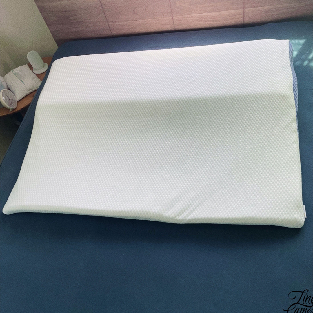 トゥルースリーパー枕 シングル ➕カバー2枚セット トゥルースリーパー枕 シングル ➕カバー2枚セット