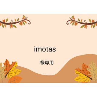 imotas様専用(各種パーツ)