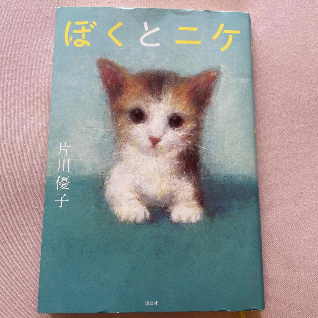 ぼくとニケ エンタメ/ホビーの本(絵本/児童書)の商品写真