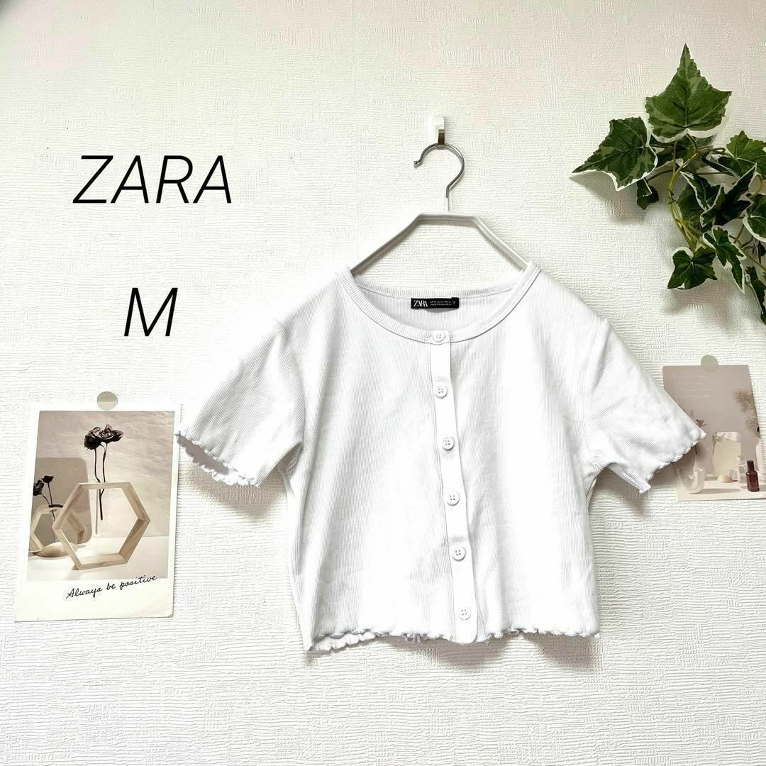 ZARA(ザラ)の1541　ZARA　ザラ 半袖フリルカットソー EUR Mサイズ ショート丈 レディースのトップス(Tシャツ(半袖/袖なし))の商品写真