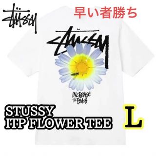 STUSSY - stussy BURNING STOCK TEE 半袖 Tシャツ ステューシーの通販 ...