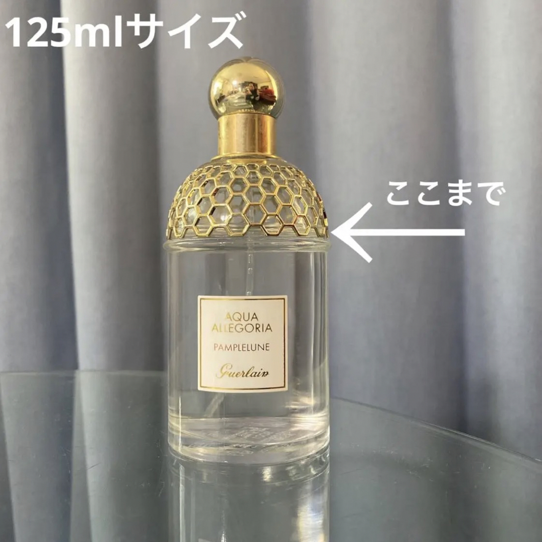 新品　アクアアレゴリア　パンプルリューヌ　125ml