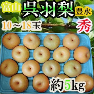 富山県産　呉羽梨　豊水　10〜18玉　約5キロ 秀品　クール便発送(フルーツ)