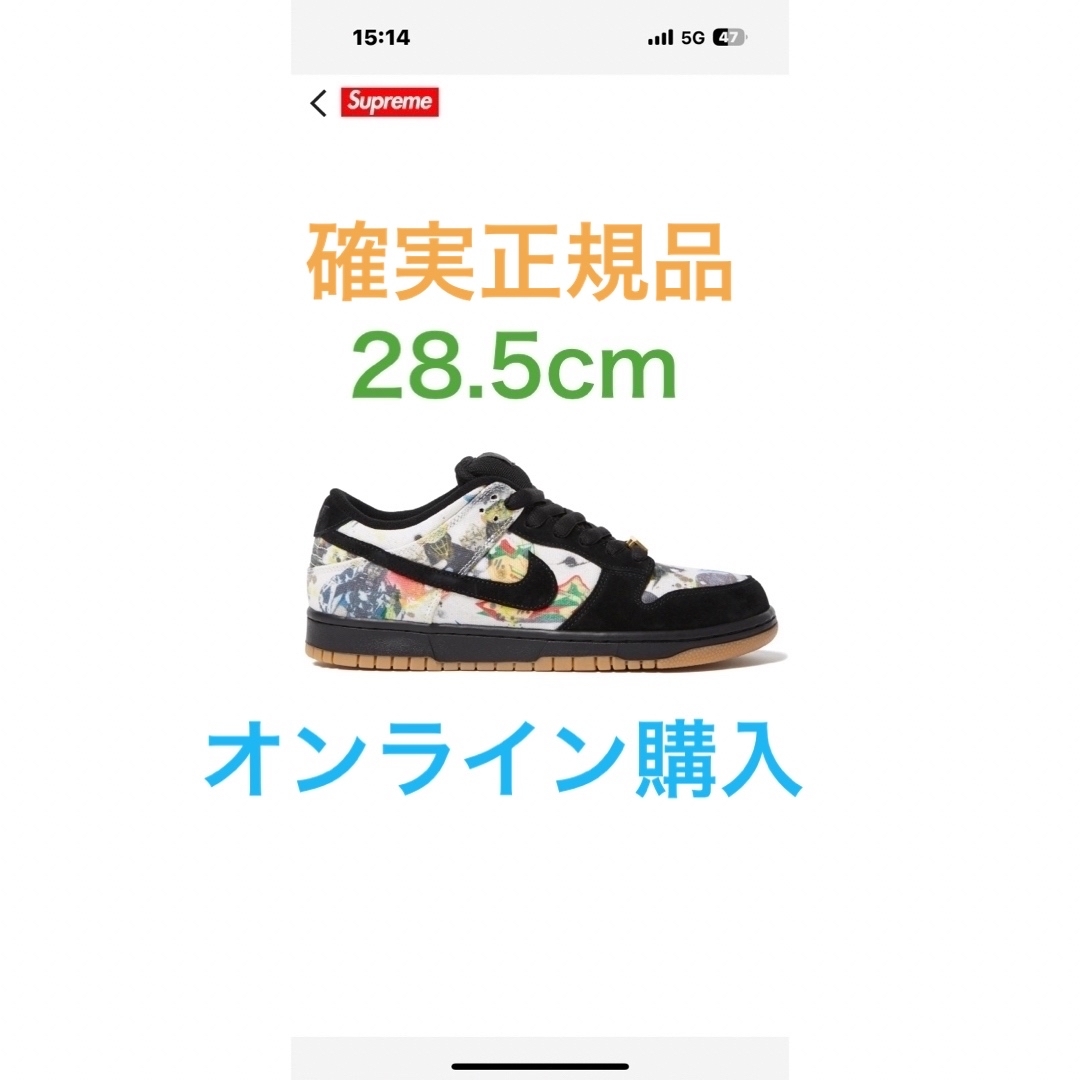 Supreme(シュプリーム)のSupreme × Nike SB Dunk Low "Rammellzee" メンズの靴/シューズ(スニーカー)の商品写真