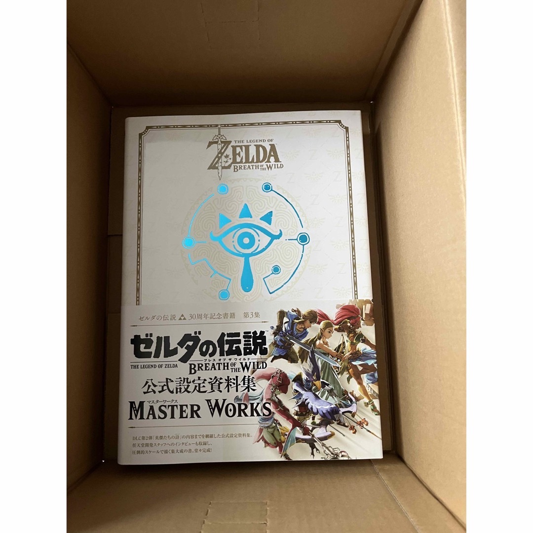 ゼルダの伝説 ブレス オブ ザワイルド MASTERWORKS30周年記念第3集