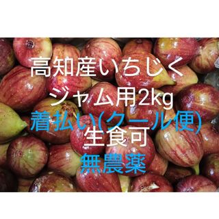 高知産イチジク 品種「桝井ドーフィン」2kg ジャム用(生食可) 無農薬(フルーツ)