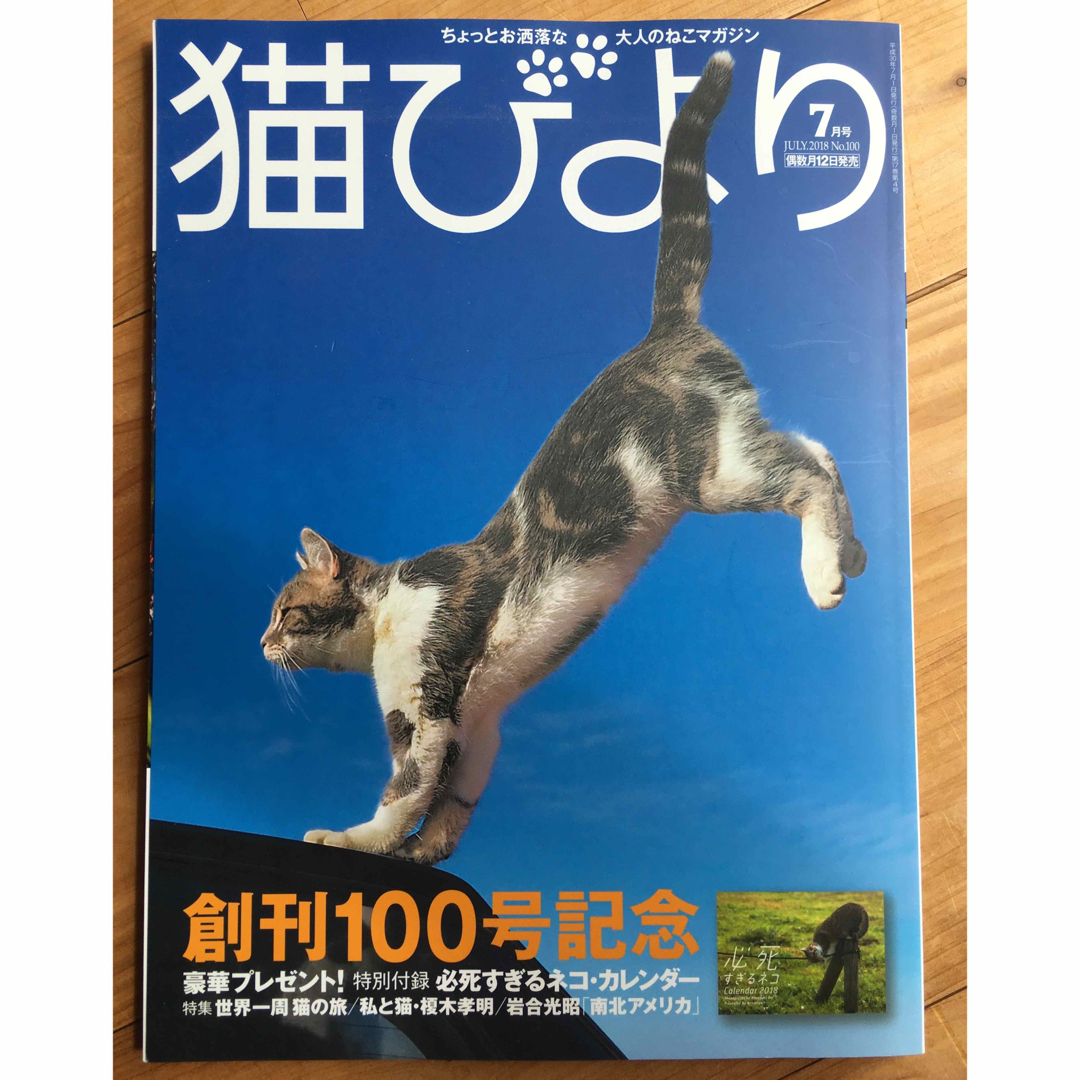 7月号☆雑誌☆の通販　☆猫びより　2018年　shop｜ラクマ　by　andie's