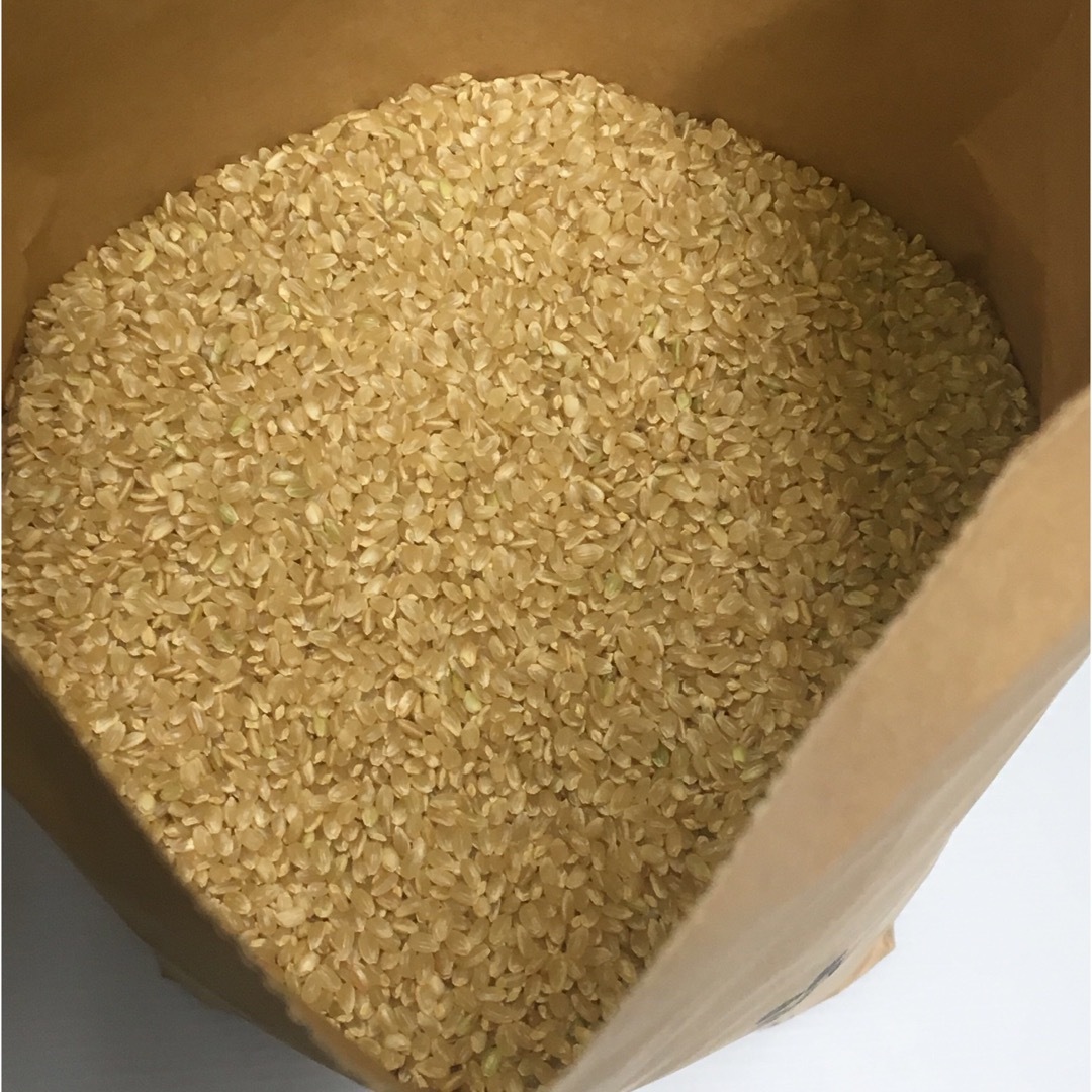 無農薬コシヒカリ玄米20kg×2(ビニ袋)焼き海苔1等50枚-　嗣英様専用　新米