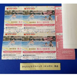 即日発送可 東京サマーランド 1Dayパス 東京都競馬 株主優待券②(プール)