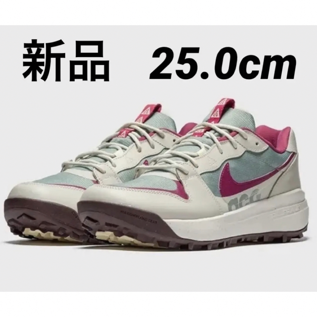 NIKE(ナイキ)のナイキ　ACG スニーカー ローケイト  25.0cm スポーツ/アウトドアのアウトドア(登山用品)の商品写真