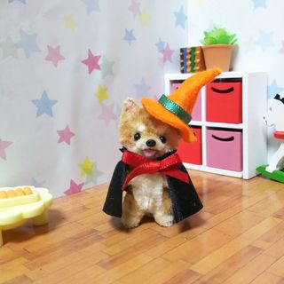 ちびドラキュラ🎃柴犬♪(人形)