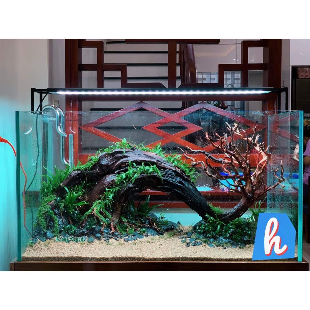 TTD 9 サンプル製品セット。水槽  。流木　。 水族館。 水生植物。