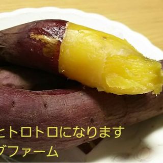 10㌔以上R5年茨城県紅はるかご家庭用S(2Sメイン)サイズ&訳あり品サツマイモ(野菜)