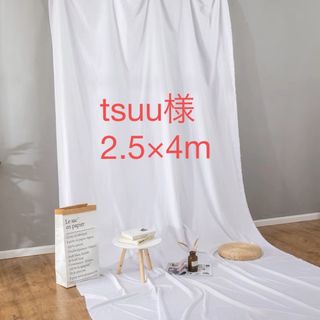 tsuu様専用　2.5x4m 白背景布(その他)