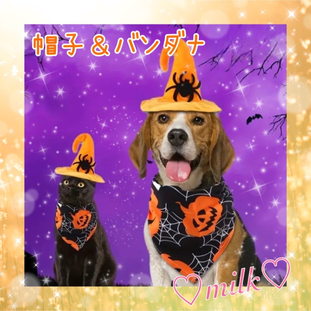 【新商品】 犬 猫 ハロウィン ハロウィーン バンダナ 帽子 クモ 仮装 黒 その他のペット用品(猫)の商品写真