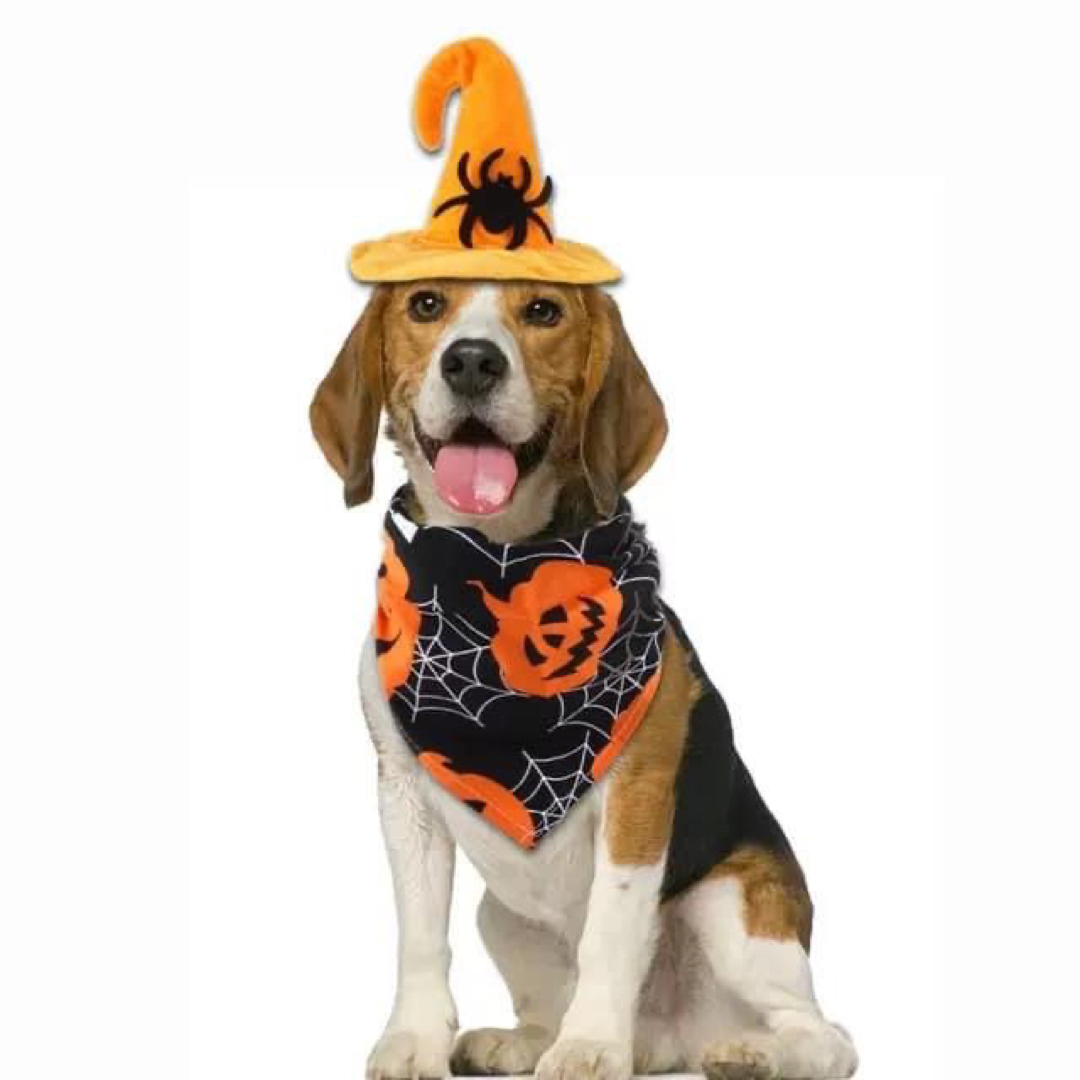 【新商品】 犬 猫 ハロウィン ハロウィーン バンダナ 帽子 クモ 仮装 黒 その他のペット用品(猫)の商品写真