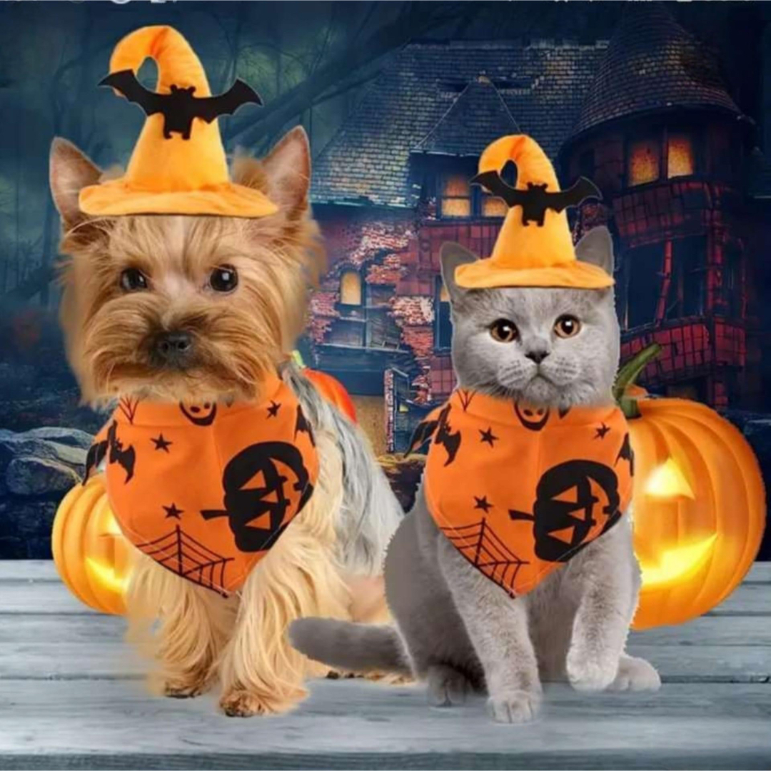 【新商品】 犬 猫 ハロウィン ハロウィーン バンダナ 帽子 クモ 仮装 黒 その他のペット用品(猫)の商品写真