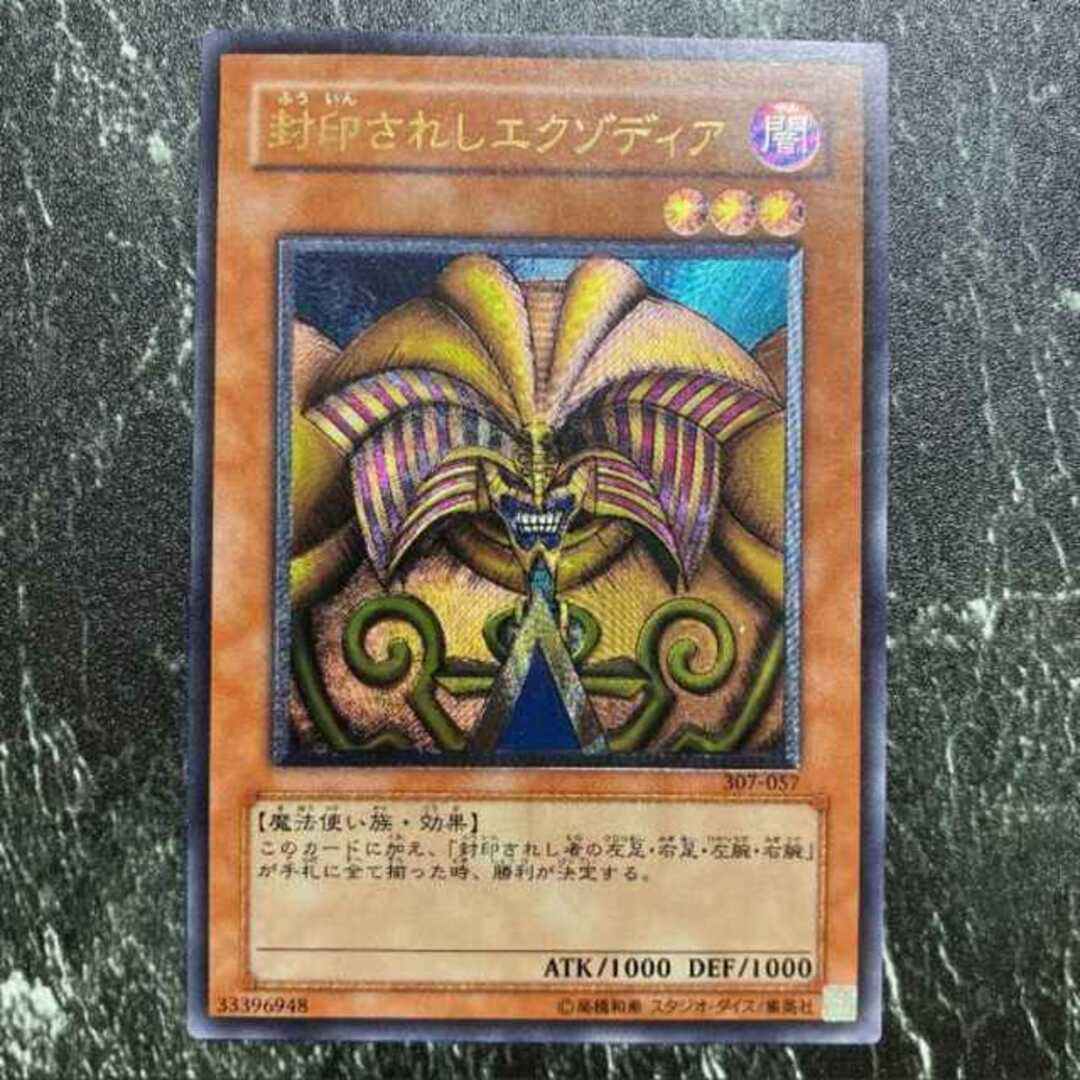 ポケモン - 遊戯王 封印されしエクゾディア レリーフの通販 by magi ...