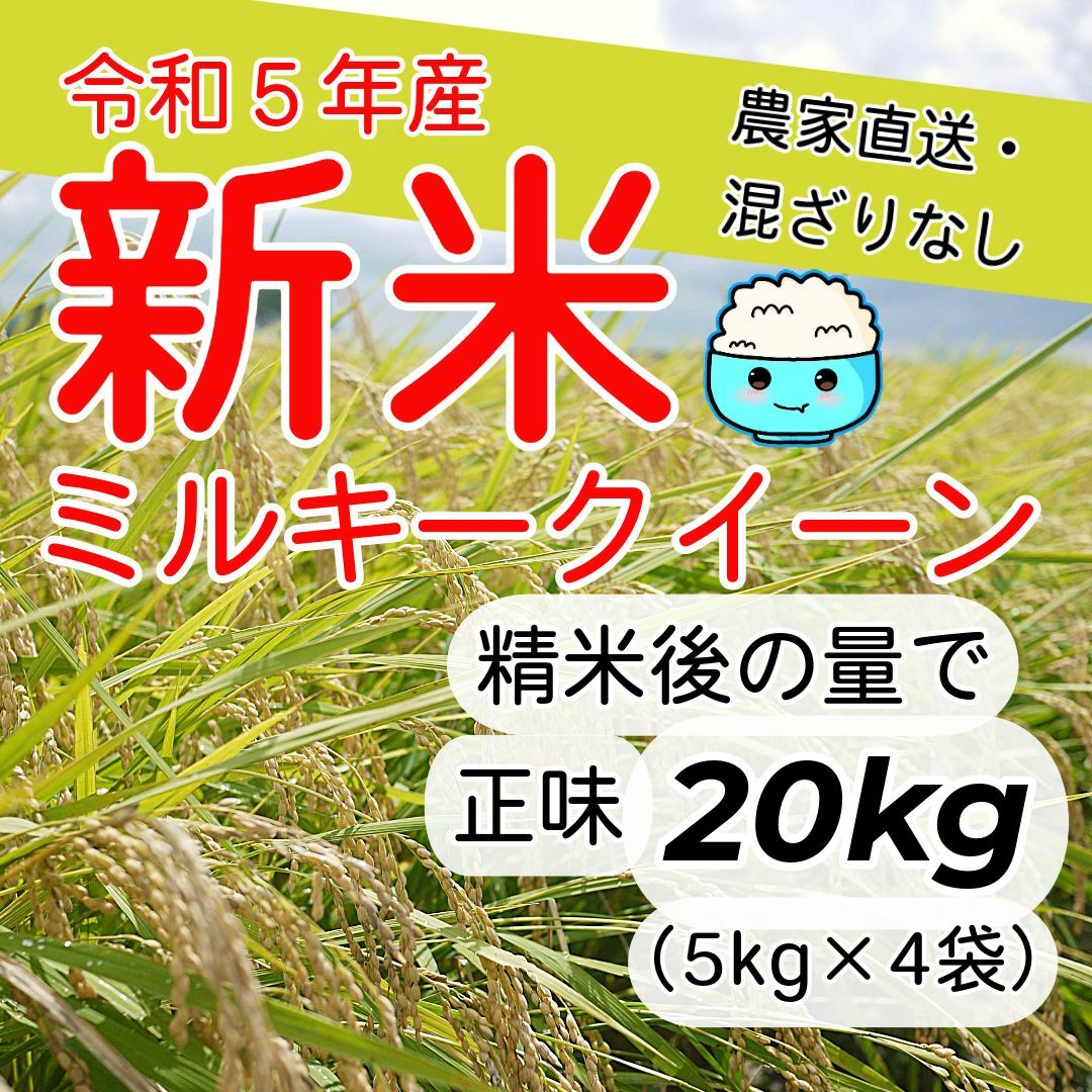 【地元の銘柄米応援中!】「とちぎの星」白米 20kg 無洗米も対応!