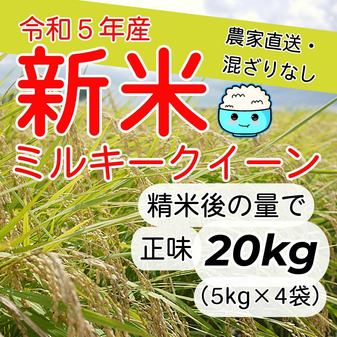 食品/飲料/酒新米　ミルキークイーン　白米　20kg　無洗米にも対応！