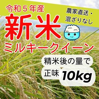 新米　ミルキークイーン　白米　10kg　無洗米にも対応！(米/穀物)