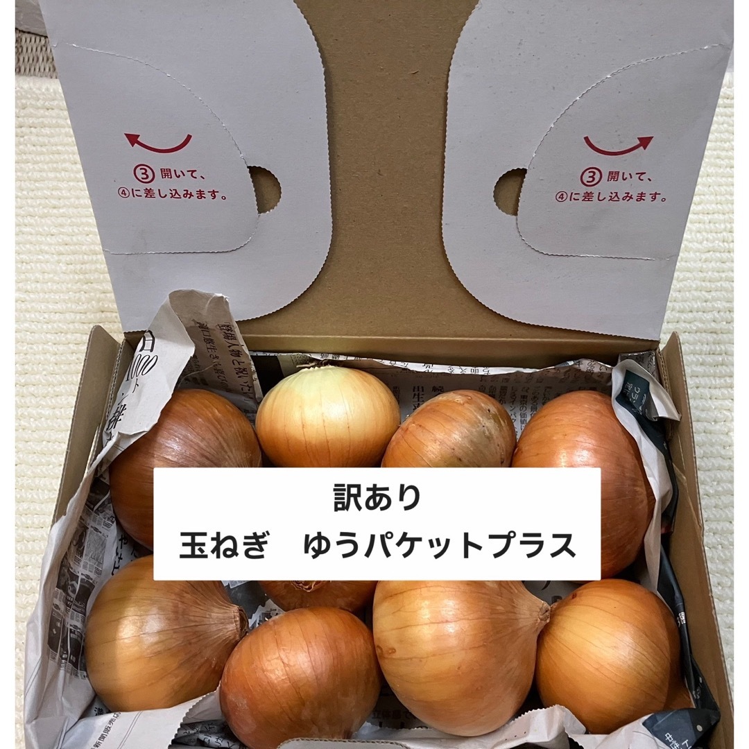 【訳あり】玉ねぎ　ゆうパケットプラス　箱いっぱい 食品/飲料/酒の食品(野菜)の商品写真