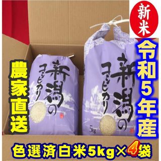 新米　令和5年産新潟コシヒカリ　白米5kg×4個★農家直送★色彩選別済05(米/穀物)