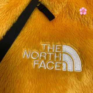 THE NORTH FACE - 国内正規品 M ノースフェイス アンタークティカバー