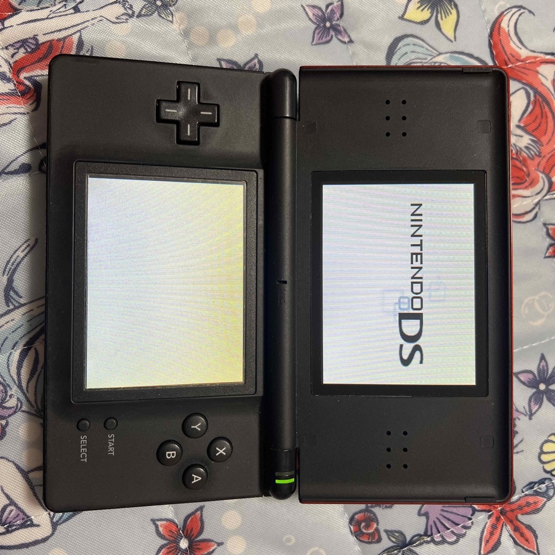 ニンテンドーDS(ニンテンドーDS)のDS Lite エンタメ/ホビーのゲームソフト/ゲーム機本体(携帯用ゲーム機本体)の商品写真