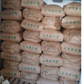 ◎新米 コシヒカリ 玄米30kg (農家直送)(米/穀物)
