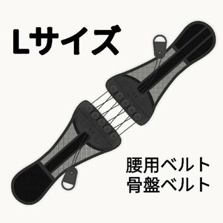 Ｌサイズ　腰ベルト　トレーニングベルト　姿勢矯正　腰サポーター　人気 プレゼント(トレーニング用品)