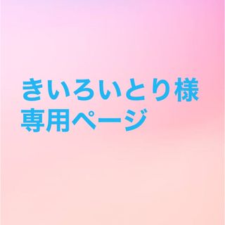 ストレイキッズ(Stray Kids)のきいろいとり様専用ページ(ポップス/ロック(邦楽))