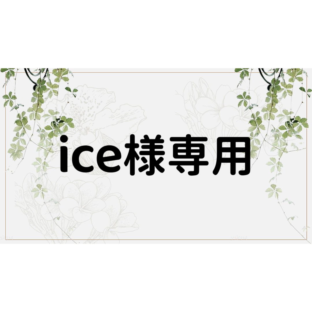 ice様専用ページ | フリマアプリ ラクマ