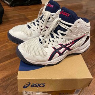 アシックス(asics)の【専用】asics DUNKSHOT MB 9 22cm(バスケットボール)