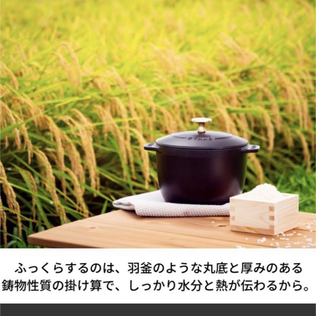 STAUB - 【新品未使用品】ストウブ ラ・ココット DE GOHAN M グレーの