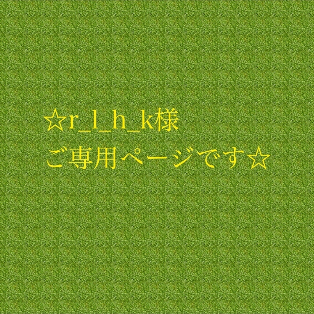 ☆r_l_h_k様ご専用ページです☆ | フリマアプリ ラクマ