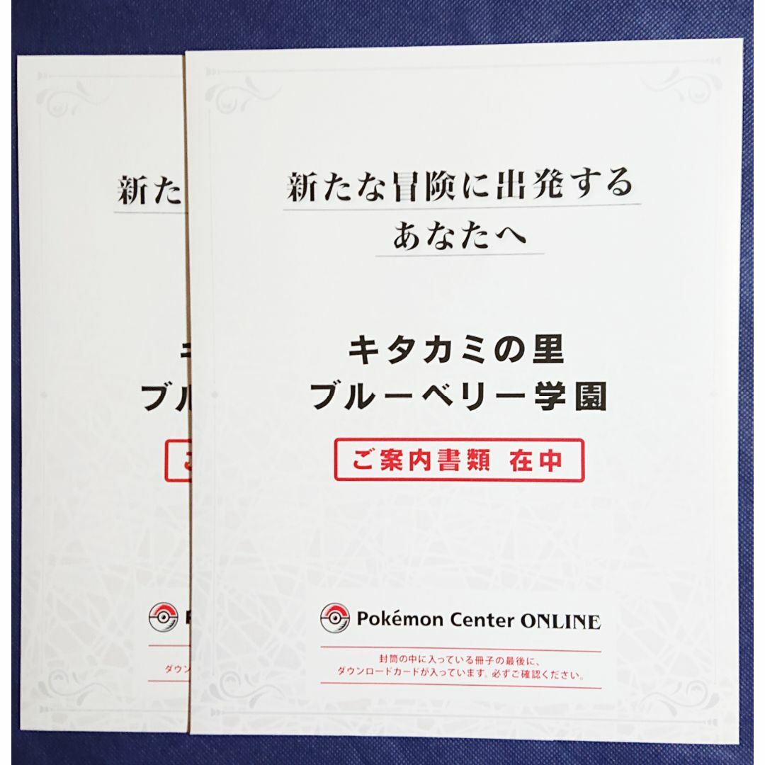 家庭用ゲームソフトポケモン スカーレット バイオレット ゼロの秘宝  2つセット