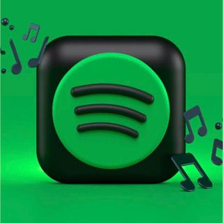 Spotify12ヶ月(その他)