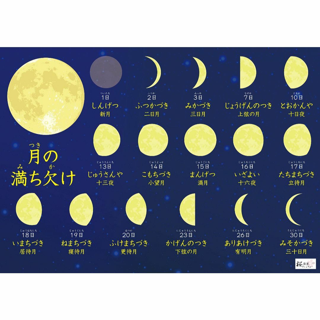 桜弥生 お風呂ポスター5枚セット良質な連絡袋付日本の四季、星空と星座、太陽と惑星