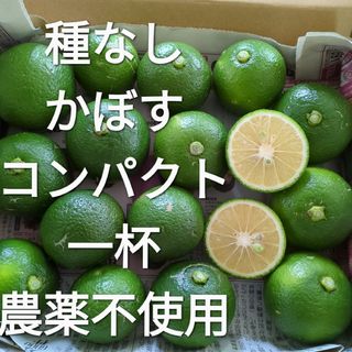 種なし かぼす コンパクト一杯 農薬不使用(フルーツ)