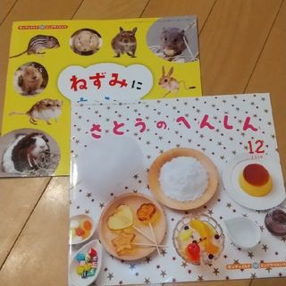 ビッグサイエンス 2冊セット(絵本/児童書)