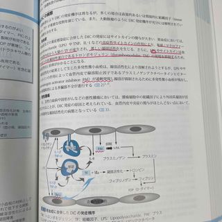 臨床に直結する血栓止血学 改訂2版 [単行本（ソフトカバー）] 朝倉 英策